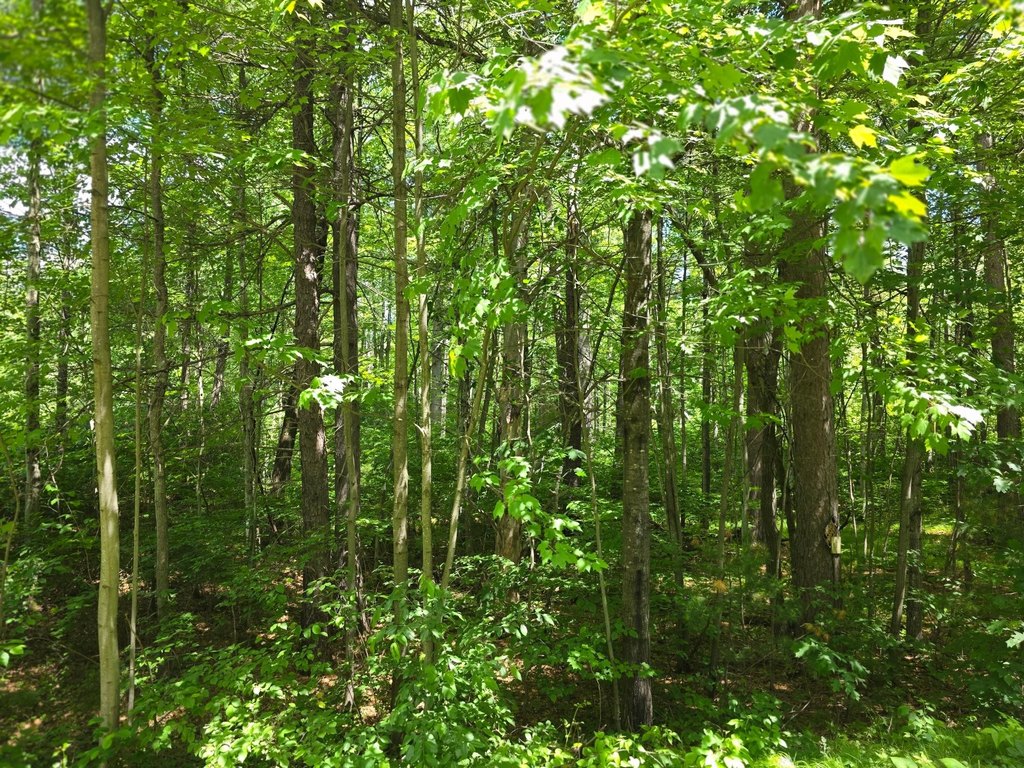 Picture 23
