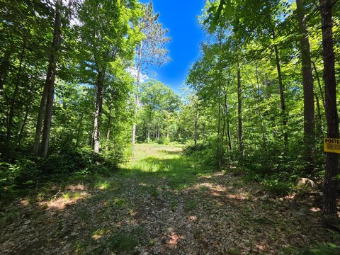LAND - Tomahawk, WI