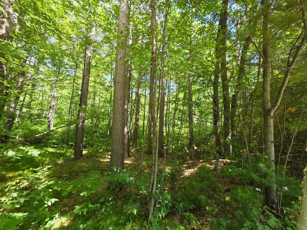 Picture 25