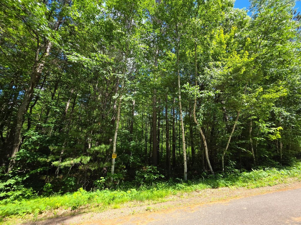 Picture 22