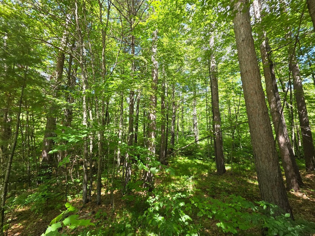 Picture 26