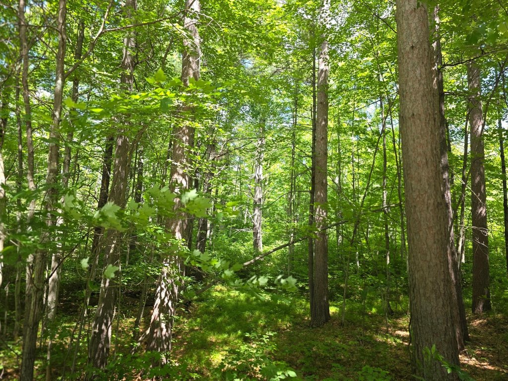 Picture 24