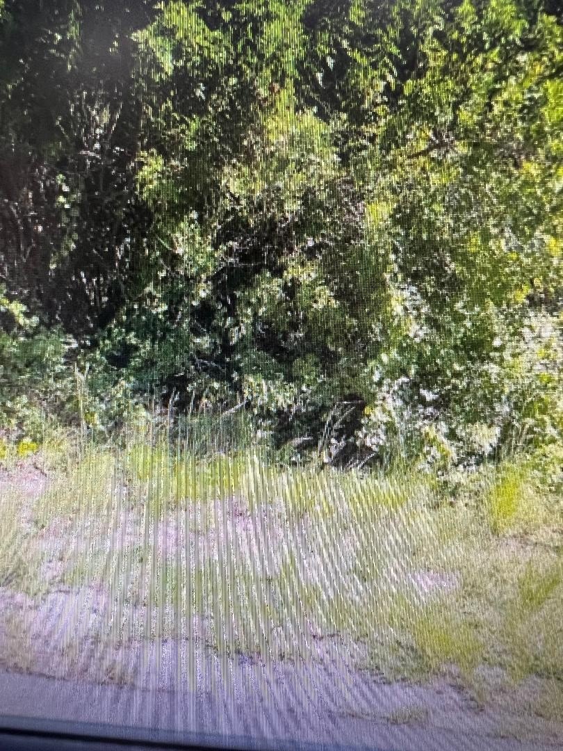 Residential Lot in Palm Bay