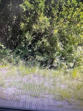 Picture of Land at Warwick St SE 380, Palm Bay, FL