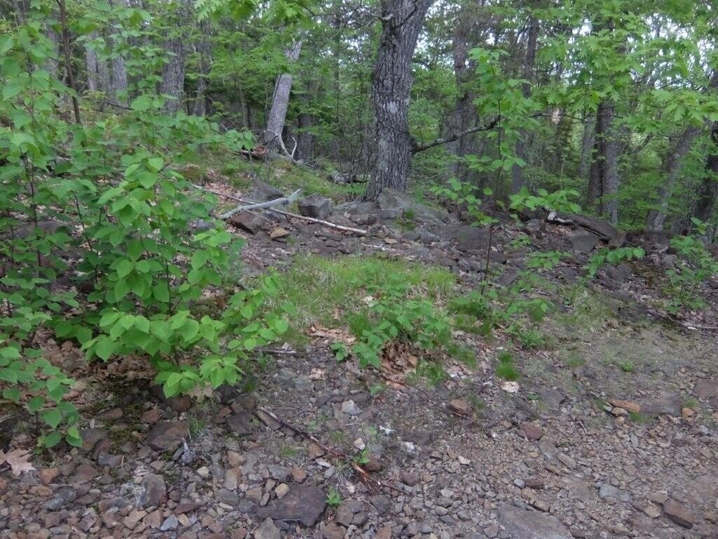 Picture 26