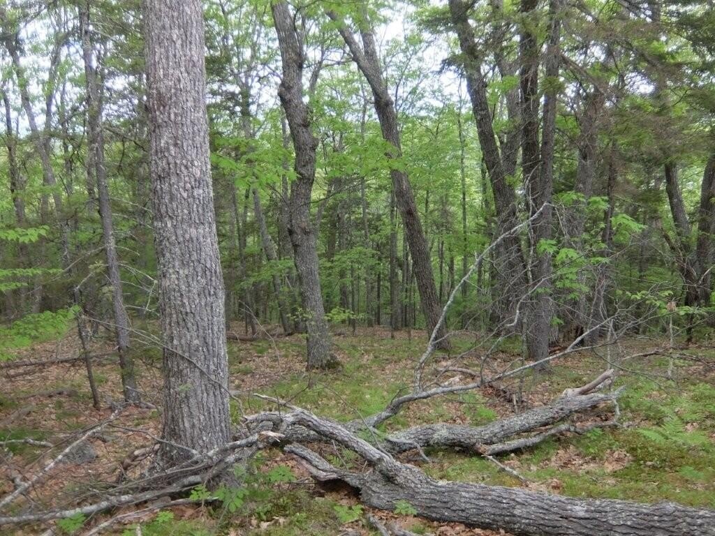Picture 29