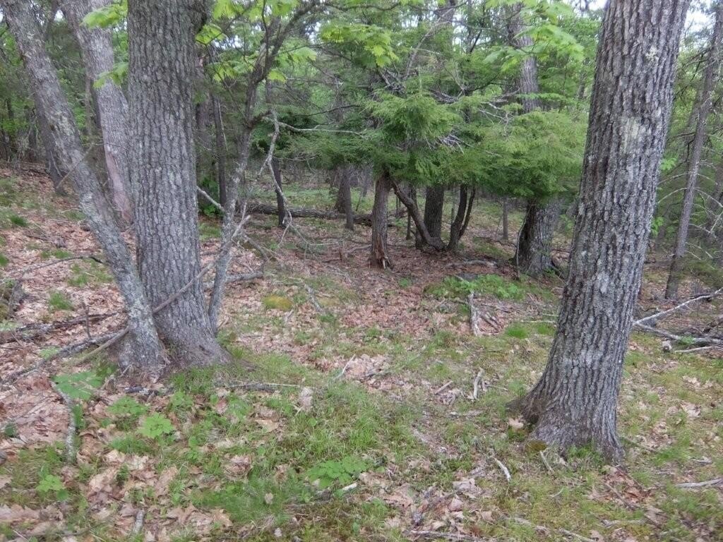 Picture 28