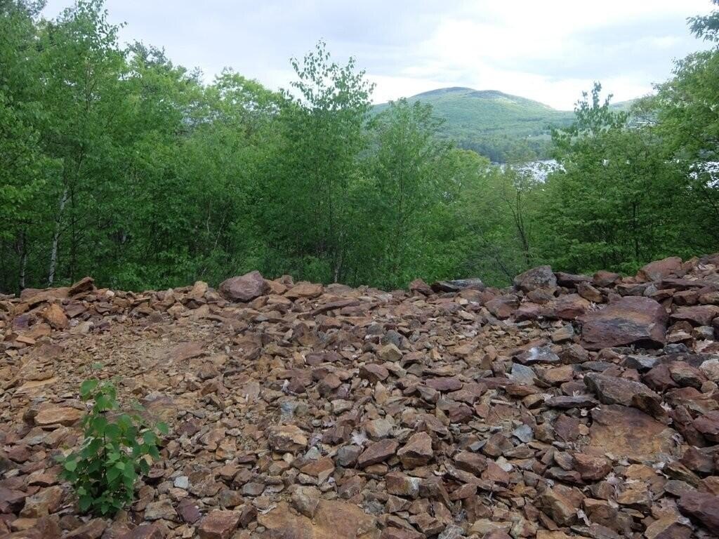 Picture 24