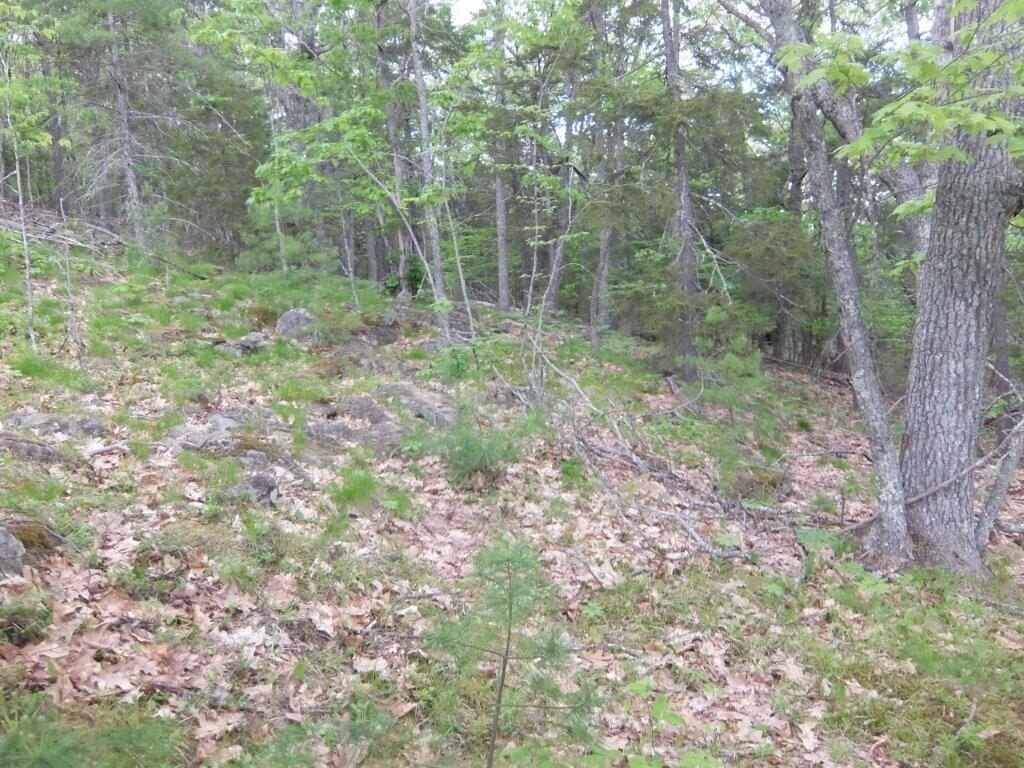 Picture 27