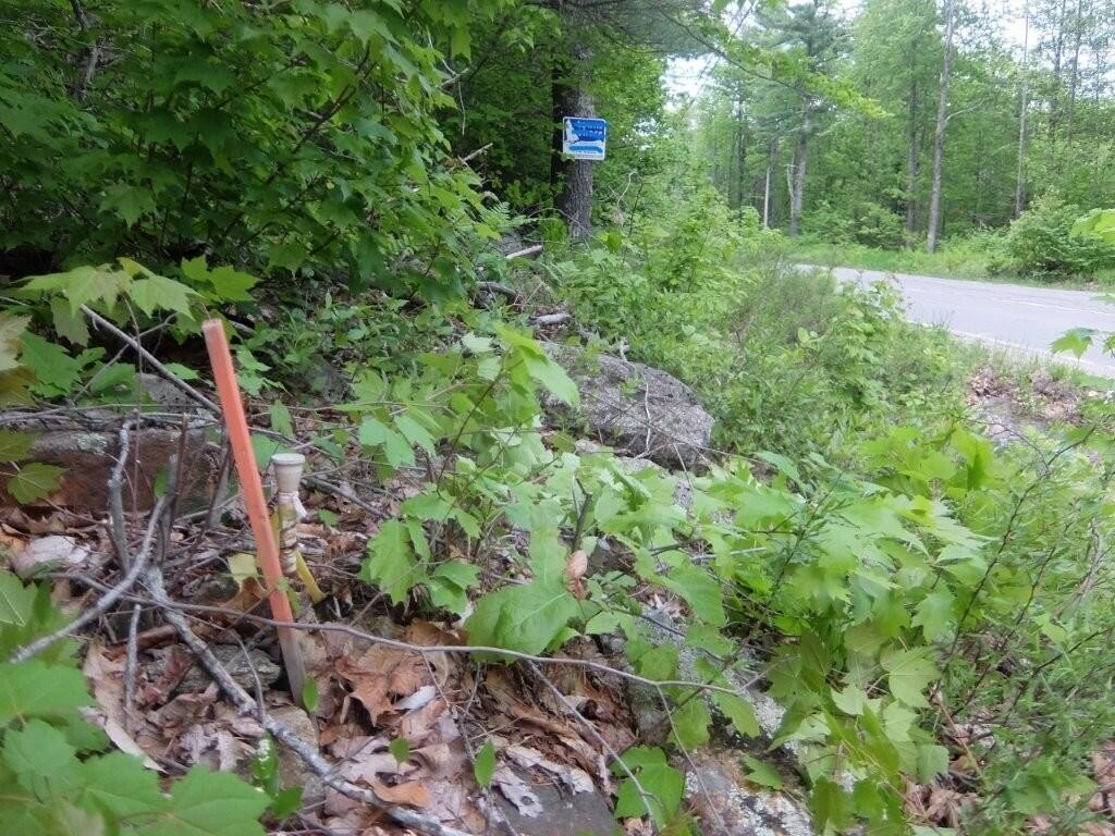 Picture 31