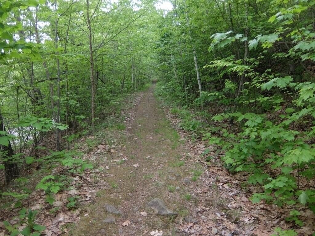 Picture 6