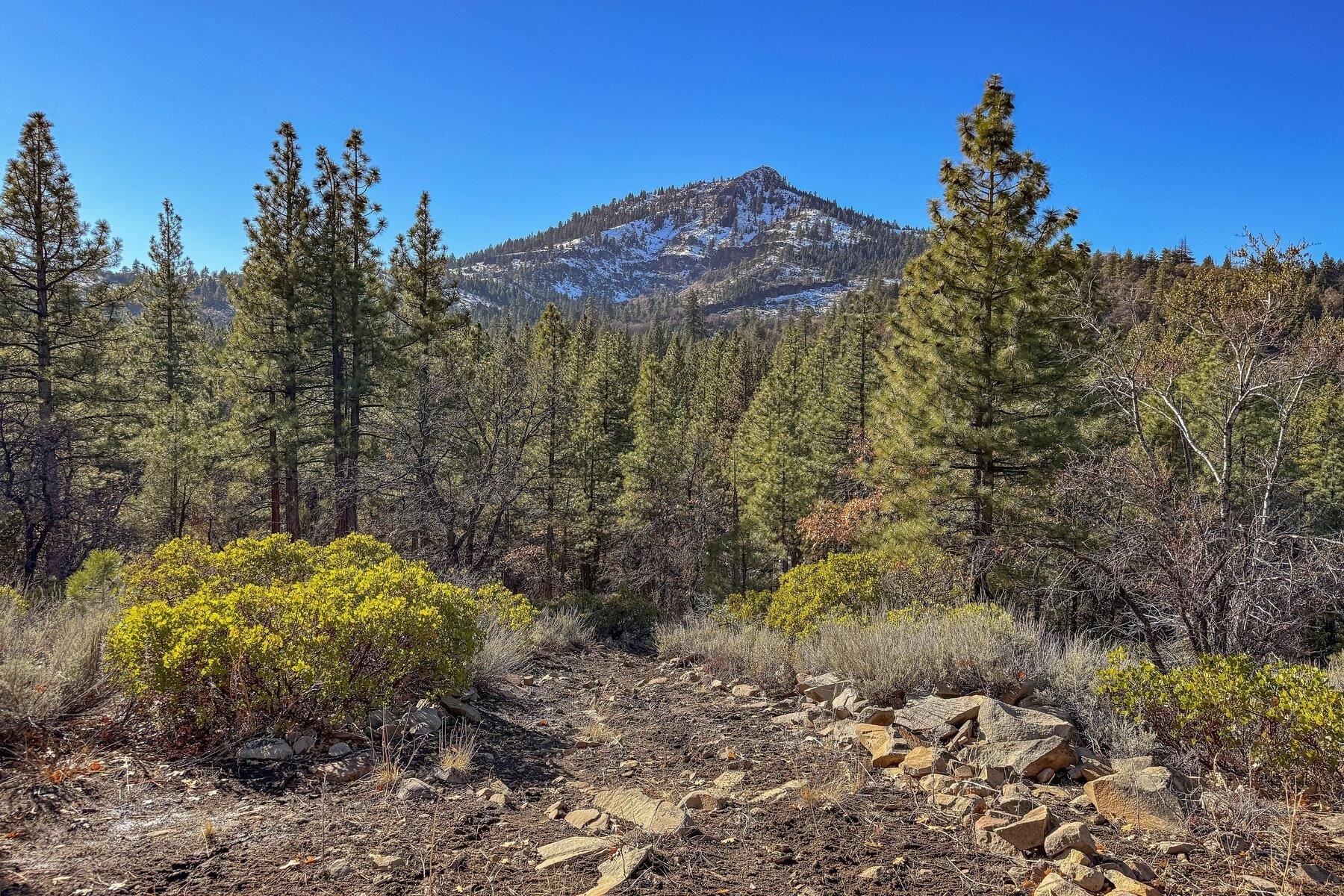 Mountain Ranch Property Near Beckwourth
