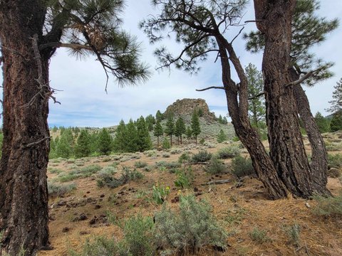 Verdi Acreage with Mountain Views