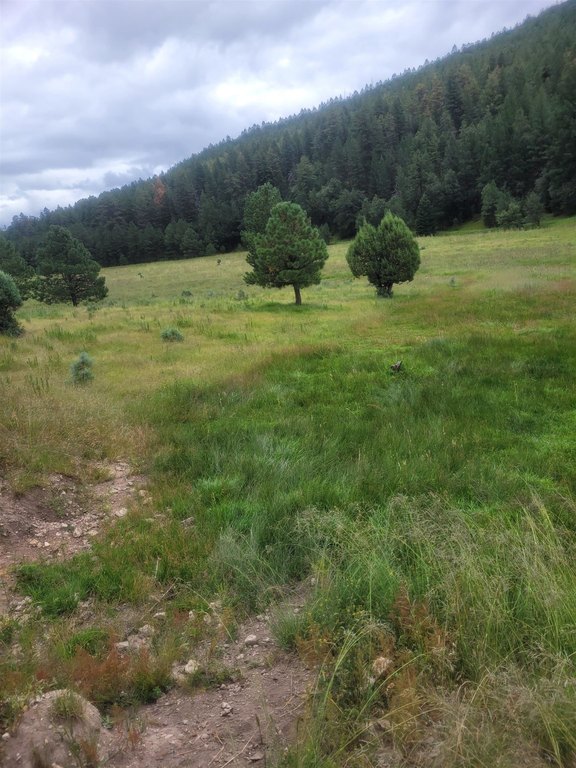 Picture 19