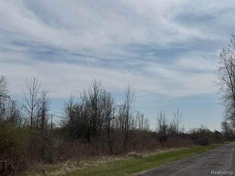Buildable Lot in Clyde Township