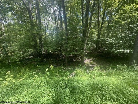 LAND - Terra Alta, WV