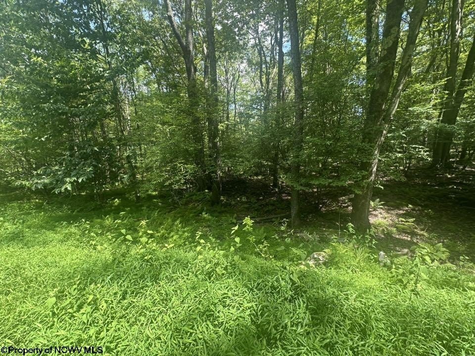 Picture 6