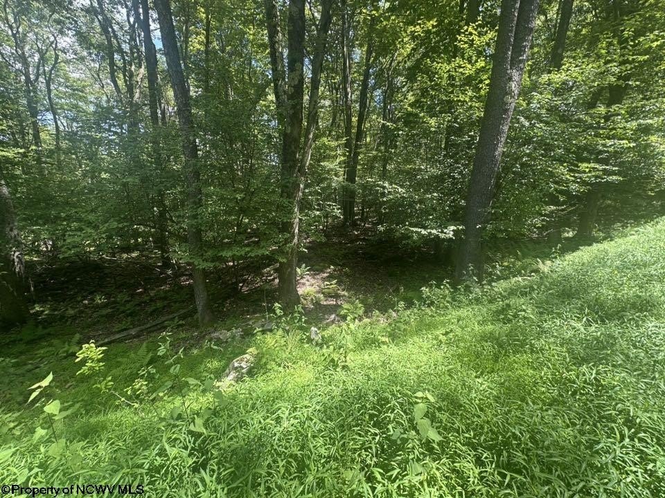 Picture 4