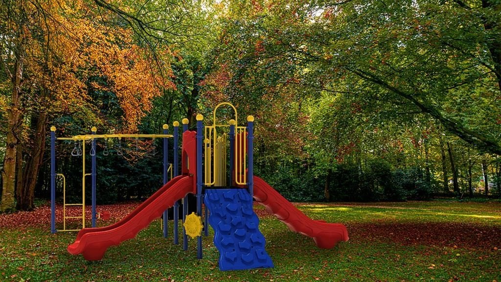 Picture 10