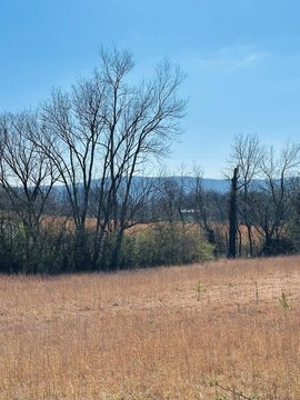 40 Acres in Pikeville, TN