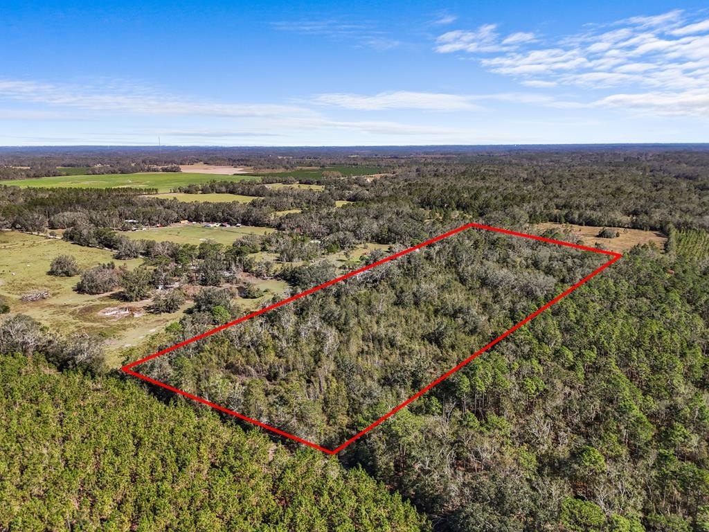 15 Acres of Wooded Land