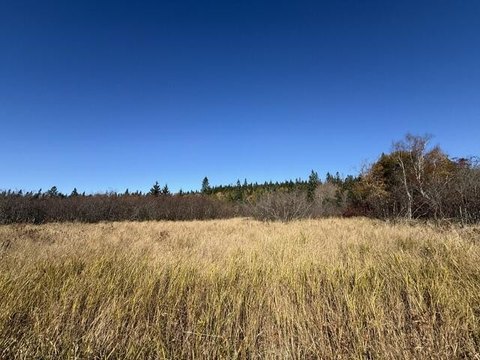 Land, Trescott Twp, ME