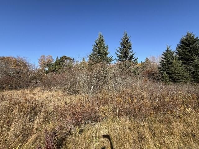 Picture 19