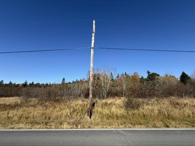 Picture 14