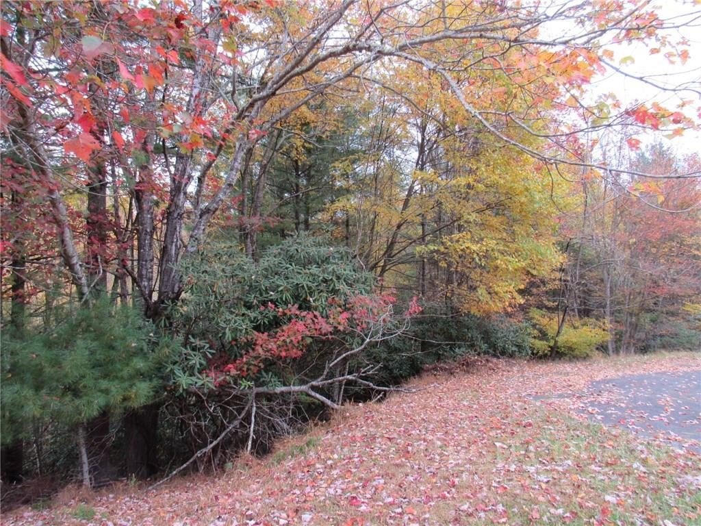 Mountain View Lot in Piney Creek