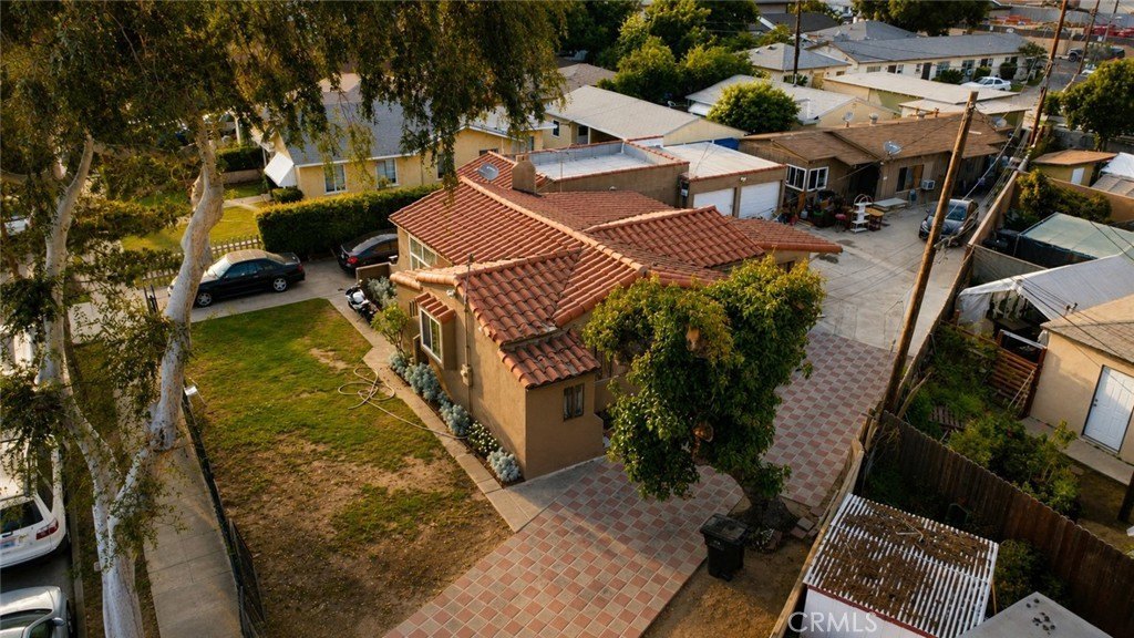 Picture 8