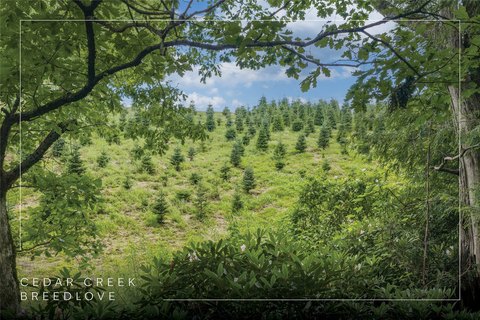 LAND - Glenville, NC