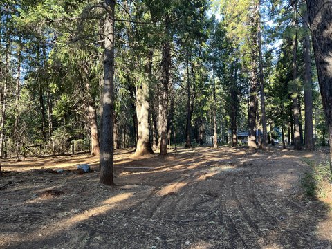 LAND - Shingletown, CA