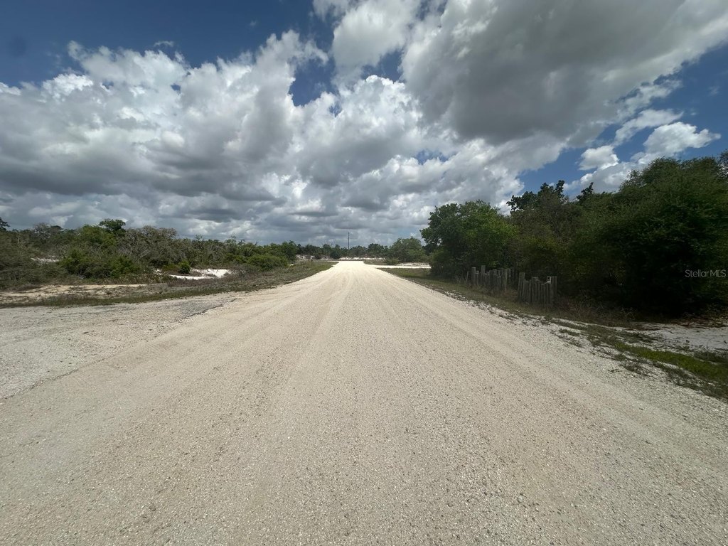 Picture 5