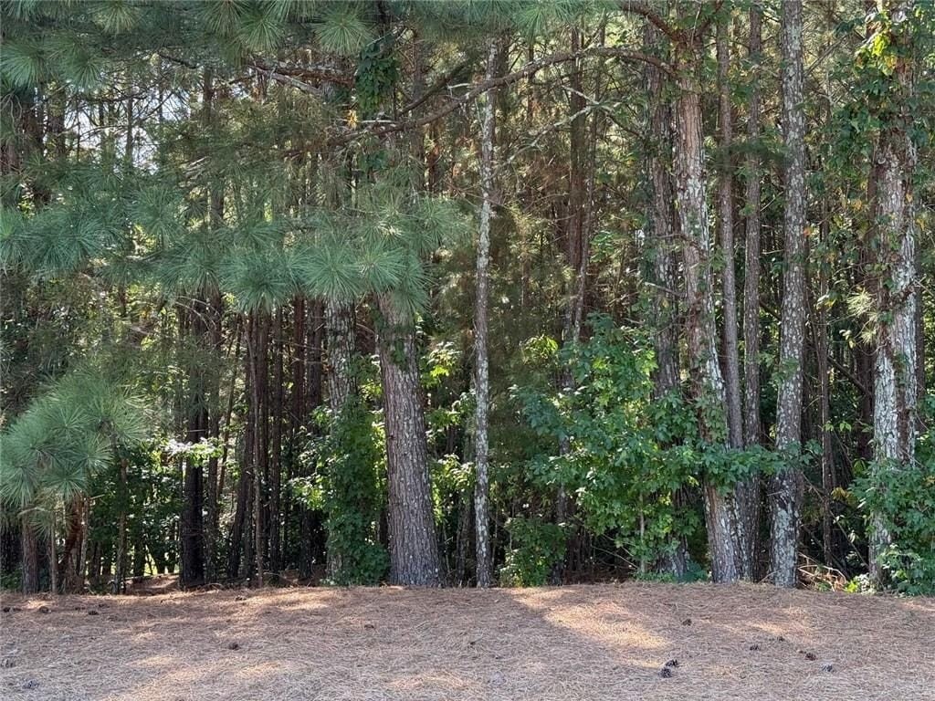 Picture 2