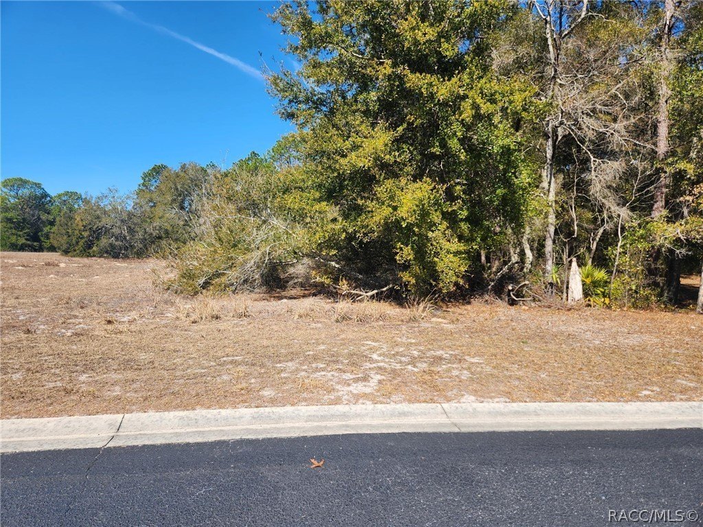 Residential Land in 55+ Community