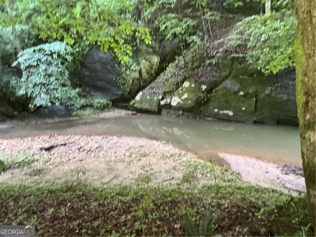 Picture 19