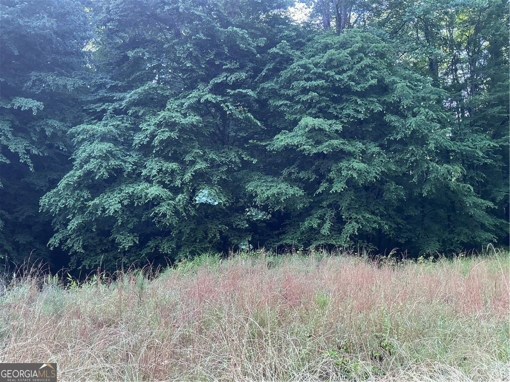 Picture 20