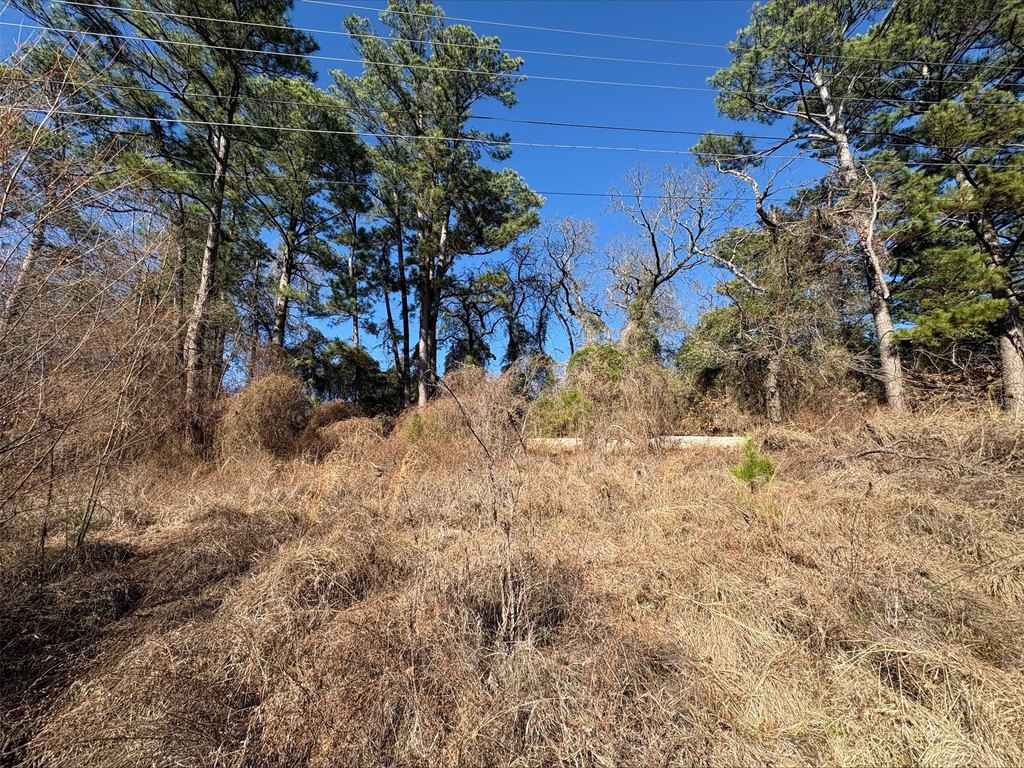 Picture 4