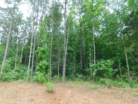 LAND - Gilmer, TX