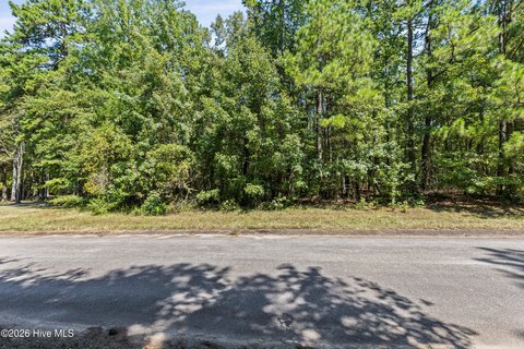 Land, Thomson, GA