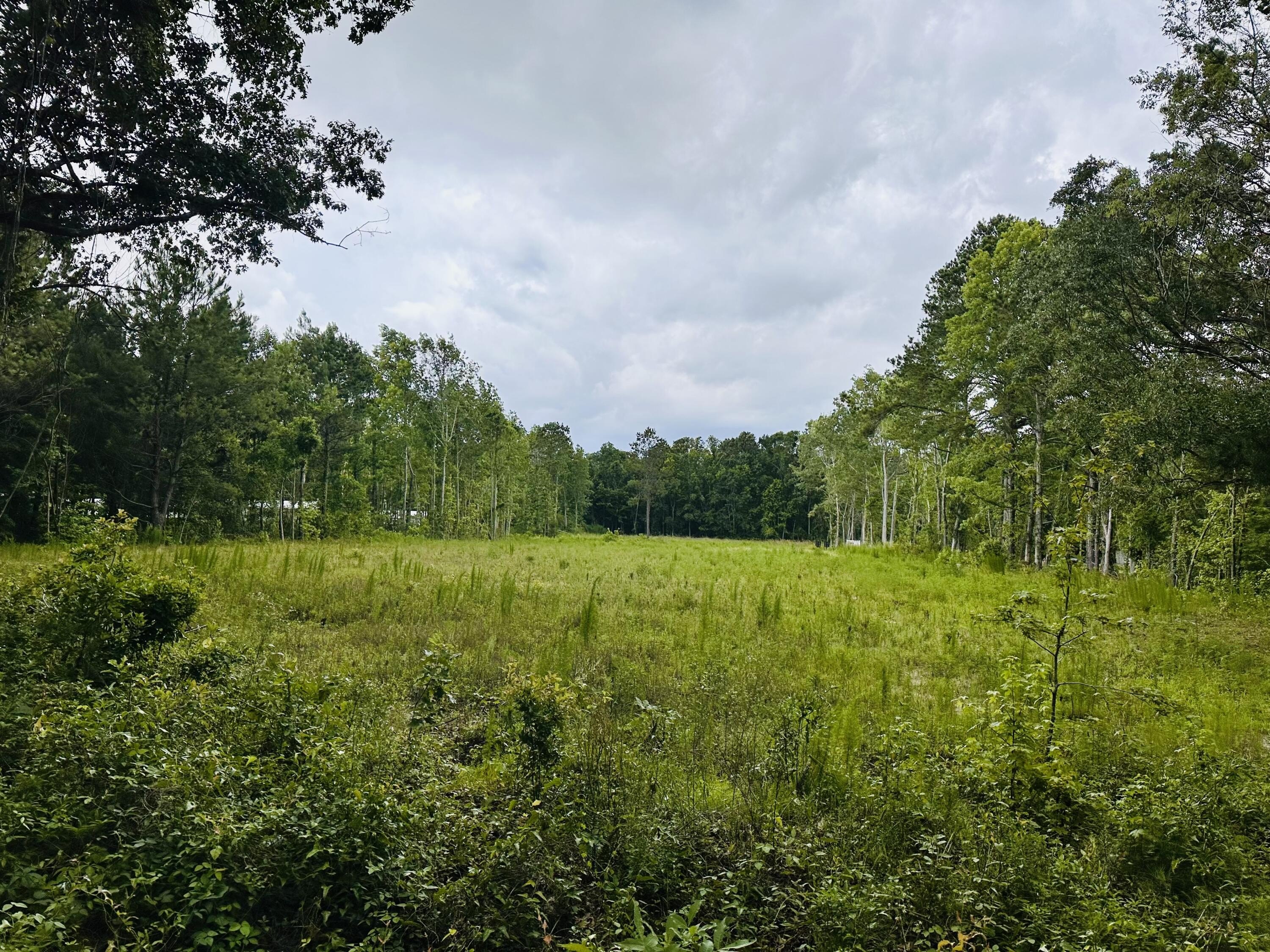 Cleared Lot Ready to Build