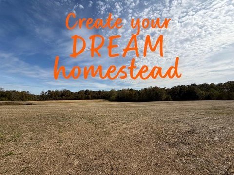 Paris, TN: 5+ Acreage Parcel