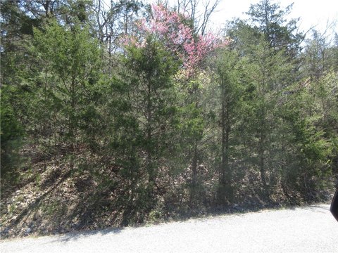 Holiday Island Wooded Lot
