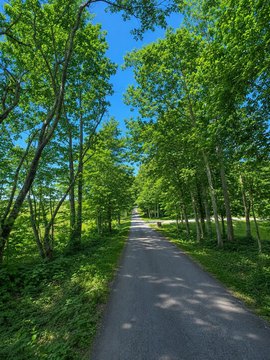 LAND - Nancy, KY