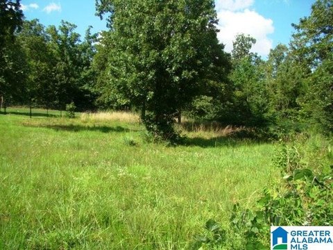 LAND/LOTS, OXFORD, AL