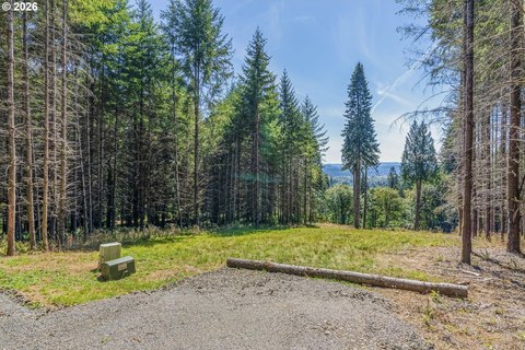 Partially Cleared 2-Acre Buildable Parcel