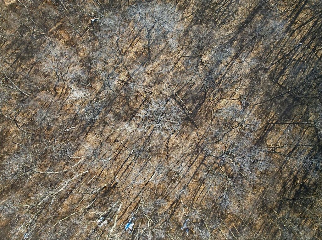 Picture 25
