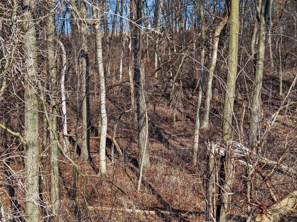 Picture 22