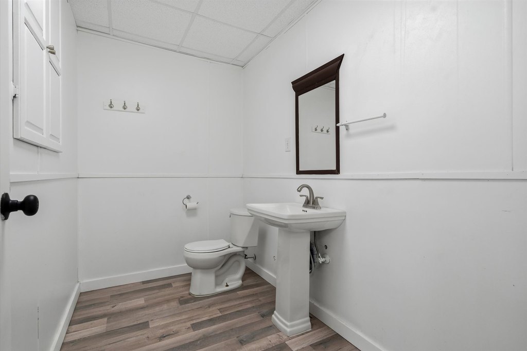 Picture 11
