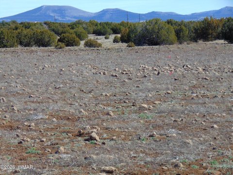 Land in Concho, Arizona